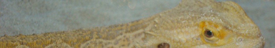 DSC03173
