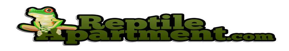 Reptile Apartment